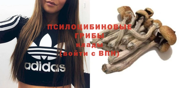 шишки Беломорск