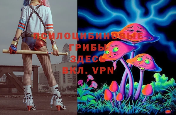 ECSTASY Белоозёрский