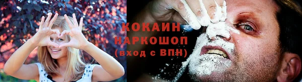 шишки Беломорск
