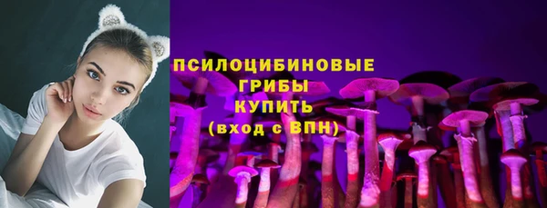 шишки Беломорск