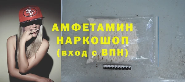 шишки Беломорск