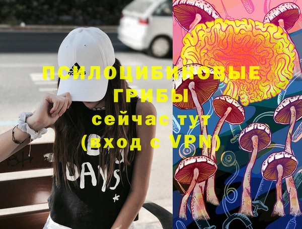 ECSTASY Белоозёрский