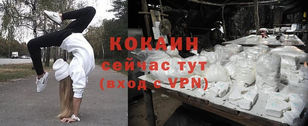 шишки Беломорск