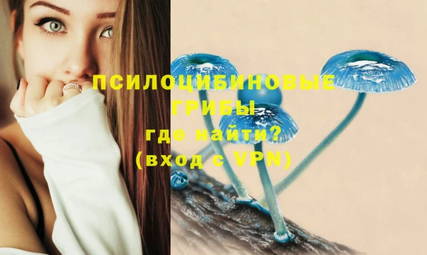 марихуана Белокуриха