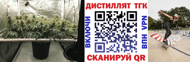 сколько стоит  Курганинск  Дистиллят ТГК THC oil 